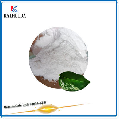 Agriculture Natural Brassinolide Powder CAS 78821-43-9 0.1%-98%