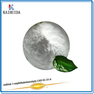 Plant Growth Regulator Rooting Hormone Powder 98%Tc 1 Naphthalene Acetic Acid 61-31-4