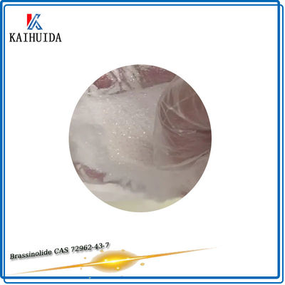 ODM Plant Growth Regulator Agro Chemicals Brassinolide 90% TC CAS 72962-43-7