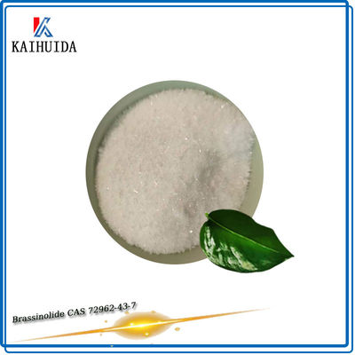 0.1%Sp Natural Brassinolide Plant Growth Regulator Powder CAS 72962-43-7