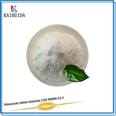 Potassium Indole Butyrate Plant Extract Powder Iba-K 98%Tc For Cutting
