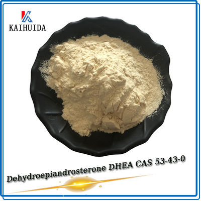 Pharmaceutical Intermediates Raw Powder DHEA CAS 53-43-0