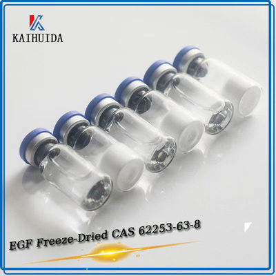 99% Cosmetics Raw Material Epidermal EGF Powder CAS 62253-63-8